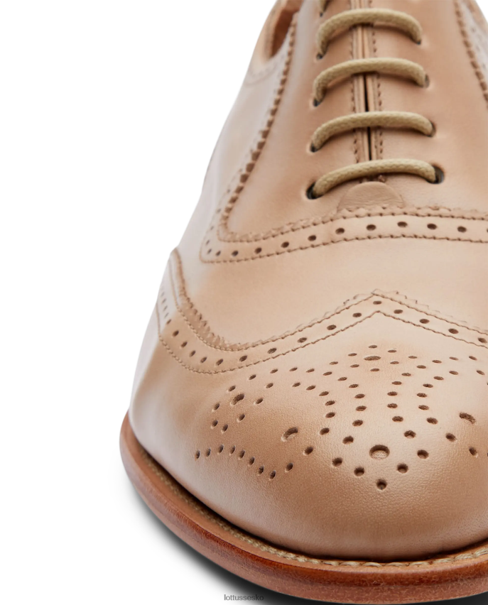 cambridge crust anilin kalv oxford Brun fodtøj Lottusse Kvinder BT626B212
