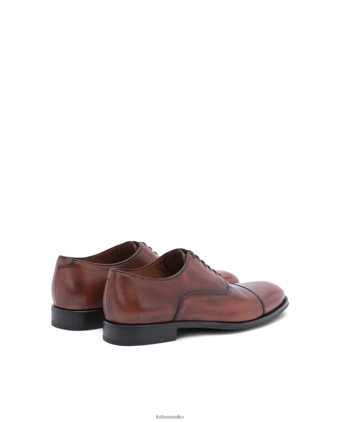 lenox børste kalven oxford af Brun fodtøj Lottusse Mænd BT626B137