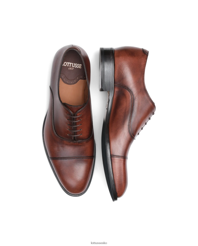 lenox børste kalven oxford af Brun fodtøj Lottusse Mænd BT626B137