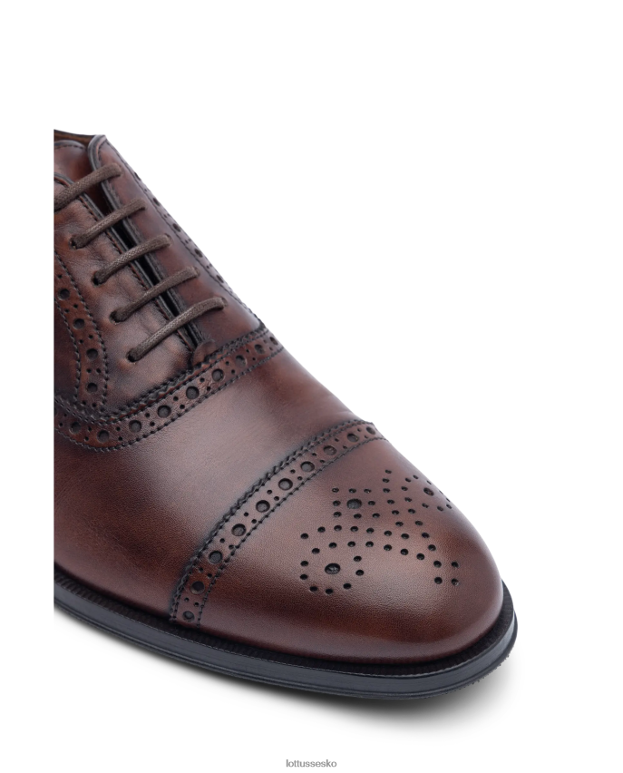 lenox børste kalven oxford af Brun fodtøj Lottusse Mænd BT626B139