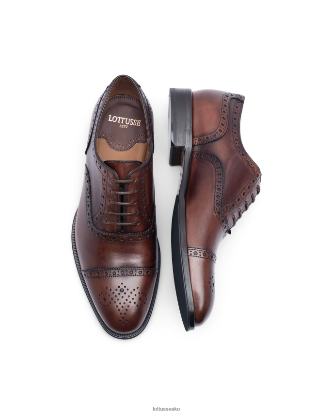 lenox børste kalven oxford af Brun fodtøj Lottusse Mænd BT626B139