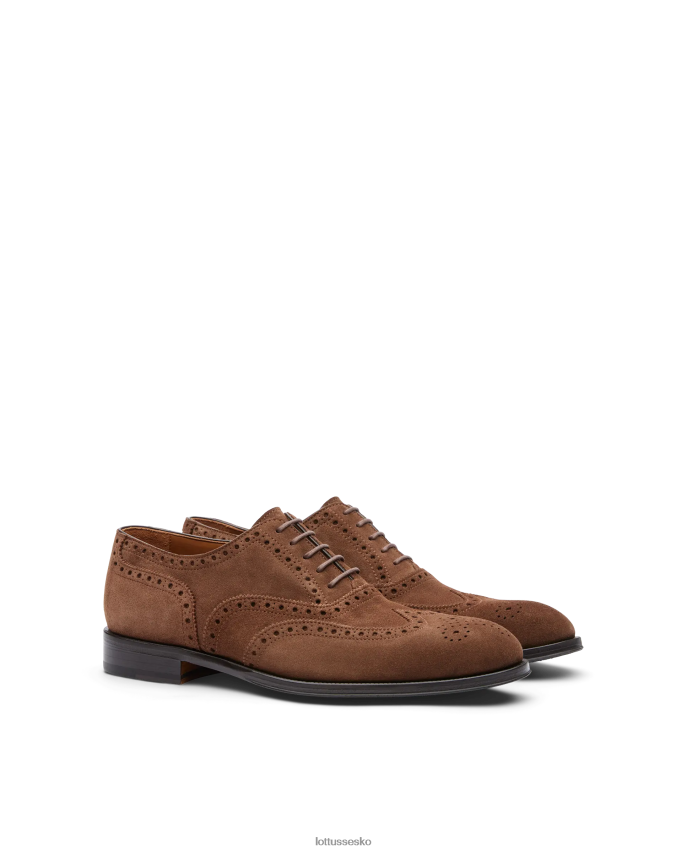lenox ruskind kalv oxford Brun fodtøj Lottusse Mænd BT626B140