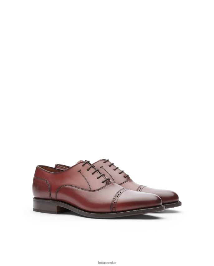 premium bordeaux skorpe anilin kalv oxford sort fodtøj Lottusse Mænd BT626B52