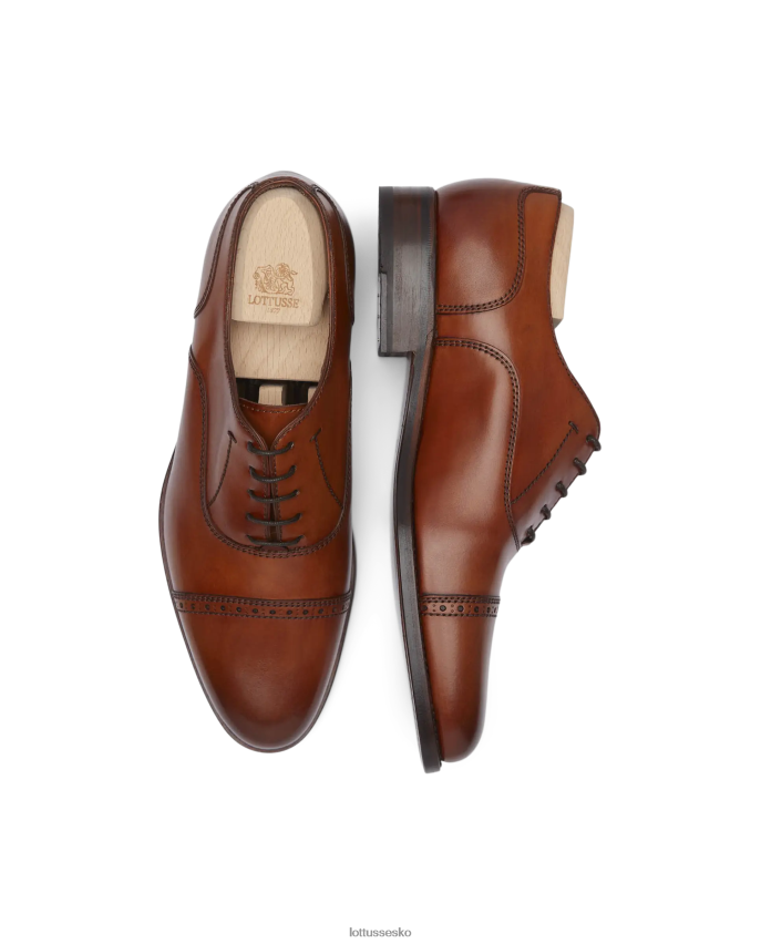 premium skorpe anilin kalv oxford Brun fodtøj Lottusse Mænd BT626B51